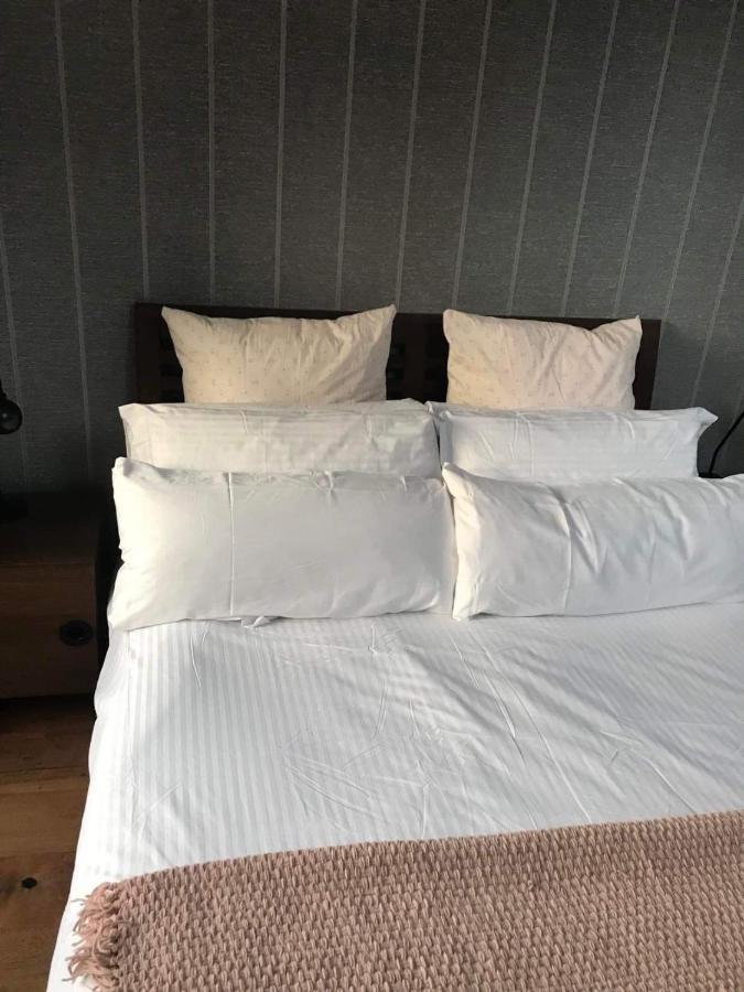 Centre Of Dingle Town - Luxury Holiday Apartment Екстериор снимка